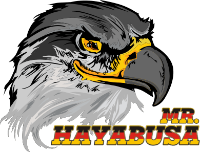 Mr. Hayabusa-Falkenkopf-Logo